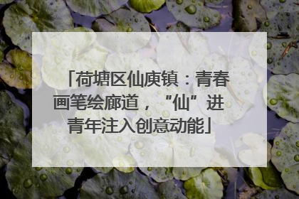 荷塘区仙庾镇：青春画笔绘廊道，“仙”进青年注入创意动能