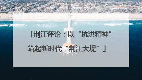 荆江评论：以“抗洪精神”筑起新时代“荆江大堤”