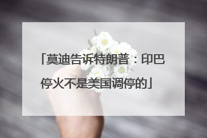 莫迪告诉特朗普：印巴停火不是美国调停的