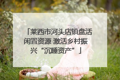 莱西市河头店镇盘活闲置资源 激活乡村振兴“沉睡资产”
