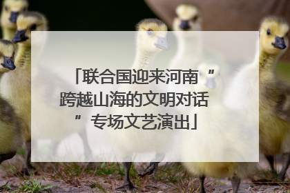 联合国迎来河南“跨越山海的文明对话”专场文艺演出