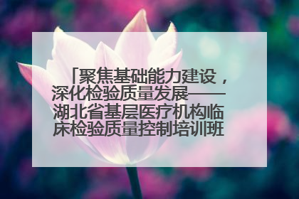 聚焦基础能力建设，深化检验质量发展——湖北省基层医疗机构临床检验质量控制培训班（孝感站）成功举办