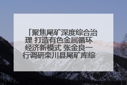 聚焦尾矿深度综合治理 打造有色金属循环经济新模式 张金良一行调研栾川县尾矿库综合治理工作