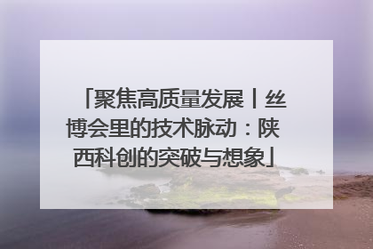 聚焦高质量发展丨丝博会里的技术脉动：陕西科创的突破与想象