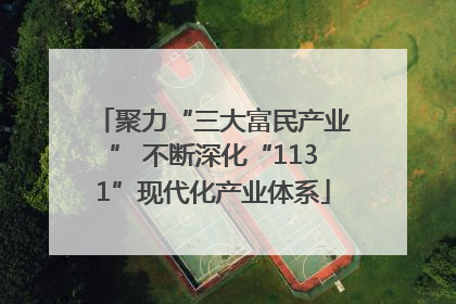 聚力“三大富民产业” 不断深化“1131”现代化产业体系