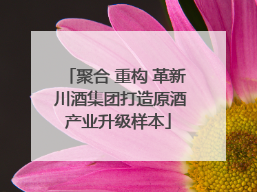 聚合 重构 革新 川酒集团打造原酒产业升级样本