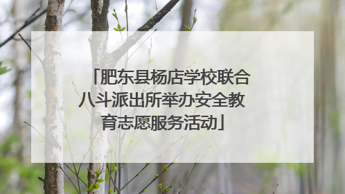 肥东县杨店学校联合八斗派出所举办安全教育志愿服务活动