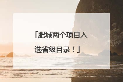 肥城两个项目入选省级目录！
