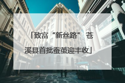 致富“新丝路” 苍溪县首批蚕茧迎丰收