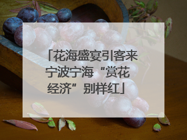 花海盛宴引客来 宁波宁海“赏花经济”别样红