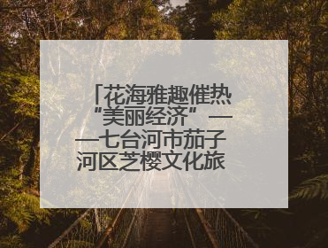 花海雅趣催热“美丽经济”——七台河市茄子河区芝樱文化旅游季启幕