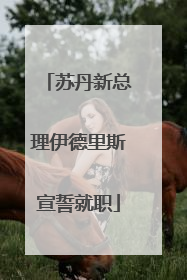 苏丹新总理伊德里斯宣誓就职