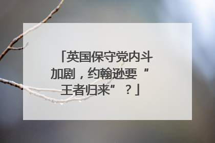英国保守党内斗加剧，约翰逊要“王者归来”？
