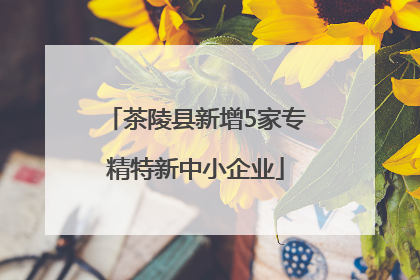 茶陵县新增5家专精特新中小企业