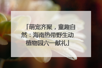 萌宠齐聚，童趣自然：海南热带野生动植物园六一献礼