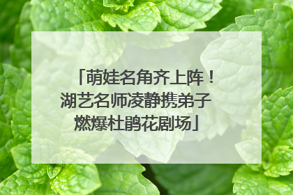 萌娃名角齐上阵！湖艺名师凌静携弟子燃爆杜鹃花剧场