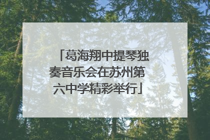 葛海翔中提琴独奏音乐会在苏州第六中学精彩举行