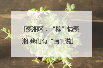 蒸湘区：“粽”情蒸湘 我们有“画”说