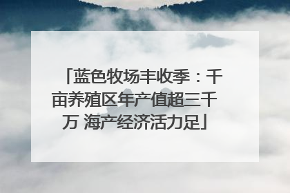 蓝色牧场丰收季：千亩养殖区年产值超三千万 海产经济活力足
