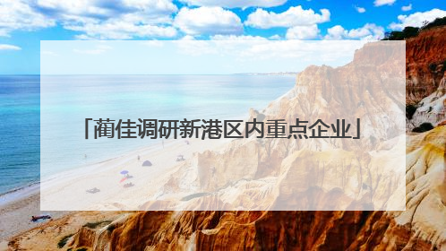 蔺佳调研新港区内重点企业
