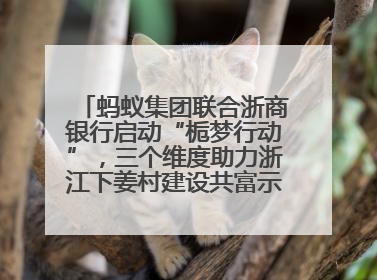 蚂蚁集团联合浙商银行启动“栀梦行动”，三个维度助力浙江下姜村建设共富示范区示范点