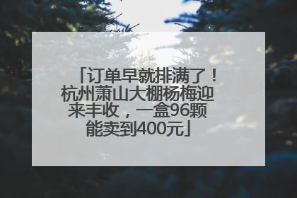 订单早就排满了！杭州萧山大棚杨梅迎来丰收，一盒96颗能卖到400元
