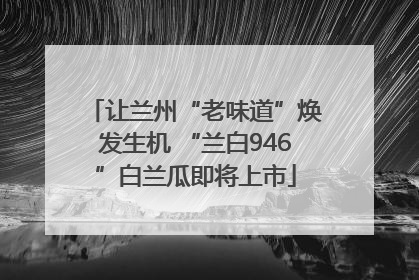 让兰州“老味道”焕发生机 “兰白946”白兰瓜即将上市