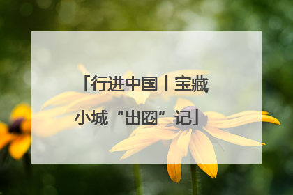 行进中国丨宝藏小城“出圈”记