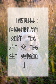 衡阳县：问渠那得清如许 “民声”变“民生”更畅通
