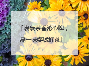 袅袅茶香沁心脾，品一味婺城好茶