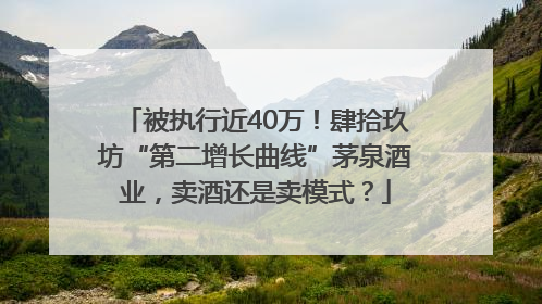 被执行近40万！肆拾玖坊“第二增长曲线”茅泉酒业，卖酒还是卖模式？