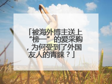 被海外博主送上“榜一”的爱采购，为何受到了外国友人的青睐？
