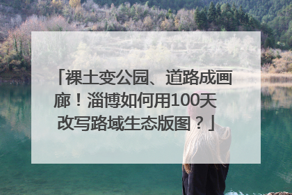 裸土变公园、道路成画廊！淄博如何用100天改写路域生态版图？