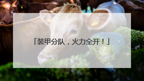 装甲分队，火力全开！