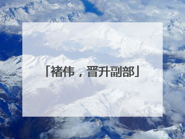 褚伟，晋升副部