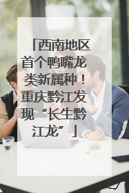 西南地区首个鸭嘴龙类新属种！重庆黔江发现“长生黔江龙”