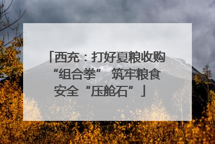 西充：打好夏粮收购“组合拳” 筑牢粮食安全“压舱石”