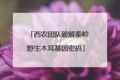 西农团队破解秦岭野生木耳基因密码