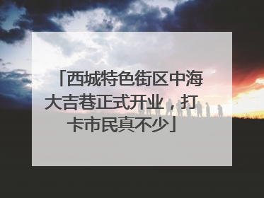 西城特色街区中海大吉巷正式开业，打卡市民真不少