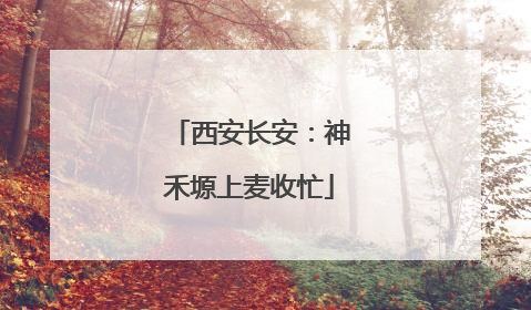 西安长安：神禾塬上麦收忙