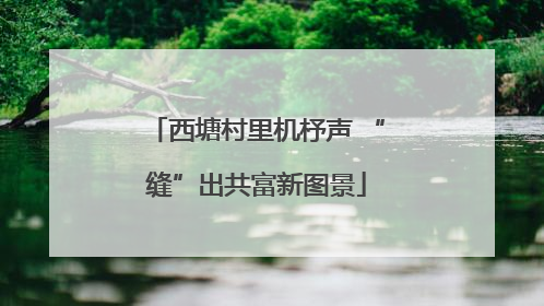 西塘村里机杼声 “缝”出共富新图景