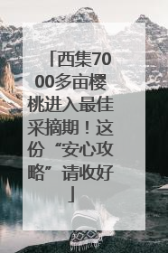 西集7000多亩樱桃进入最佳采摘期！这份“安心攻略”请收好