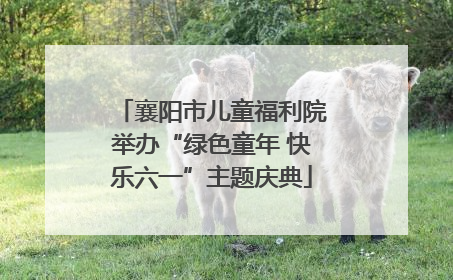 襄阳市儿童福利院举办“绿色童年 快乐六一”主题庆典