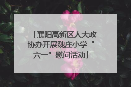 襄阳高新区人大政协办开展魏庄小学“六一”慰问活动