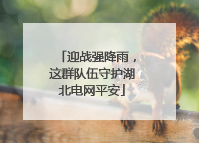 迎战强降雨，这群队伍守护湖北电网平安