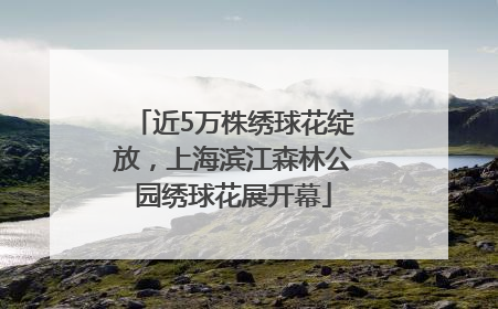 近5万株绣球花绽放，上海滨江森林公园绣球花展开幕