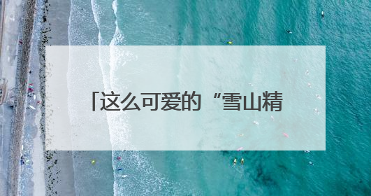 这么可爱的“雪山精灵”，当然是要好好守护啦——有一种叫云南的生活之365天