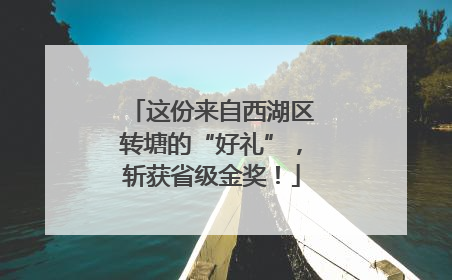这份来自西湖区转塘的“好礼”，斩获省级金奖！