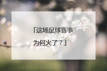 这场足球赛事为何火了？