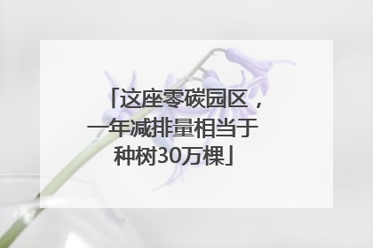 这座零碳园区，一年减排量相当于种树30万棵